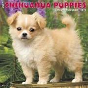 Just Chihuahua Puppies 2019 Wall Calendar (Dog Breed Calendar)