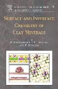 Surface and Interface Chemistry of Clay Minerals