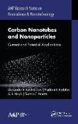 Carbon Nanotubes and Nanoparticles