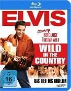 Lied des Rebellen (Wild in the Country)