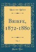 Briefe, 1872-1880, Vol. 5 (Classic Reprint)