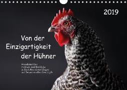 Von der Einzigartigkeit der Hühner (Wandkalender 2019 DIN A4 quer)