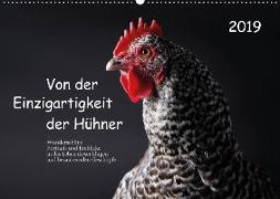 Von der Einzigartigkeit der Hühner (Wandkalender 2019 DIN A2 quer)