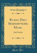 Rudin, Drei Begegnungen, Mumu: Drei Novellen (Classic Reprint)