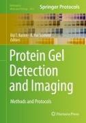 Protein Gel Detection and Imaging