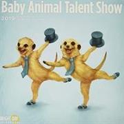 Baby Animal Talent Show 2019