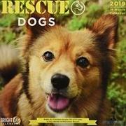 Rescue Dogs 2019