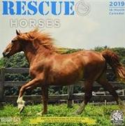 Rescue Horses 2019