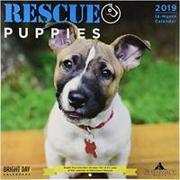 Rescue Puppies 2019