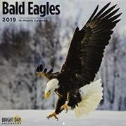 Bald Eagles 2019