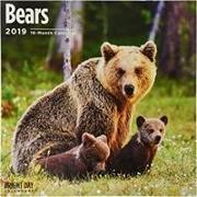 Bears 2019