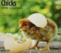 Chicks 2019