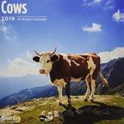 Cows 2019