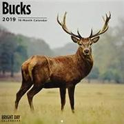 Bucks 2019