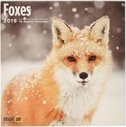 Foxes 2019