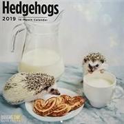 Hedgehogs 2019