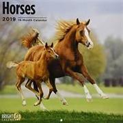 Horses 2019