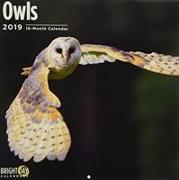 Owls 2019