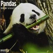 Pandas 2019