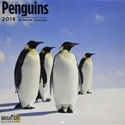 Penguins 2019