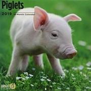 Piglets 2019