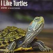 Turtles 2019