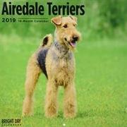 Airedale Terrier 2019