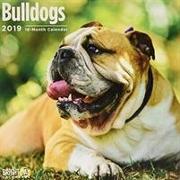 Bulldogs 2019