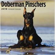 Doberman Pinschers 2019