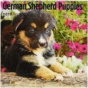 German Shepherd Puppies 2019