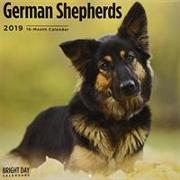 German Shepherds 2019