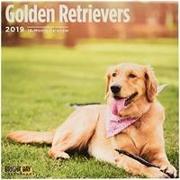 Golden Retrievers 2019