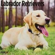 Labrador Retrievers 2019