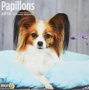 Papillon 2019