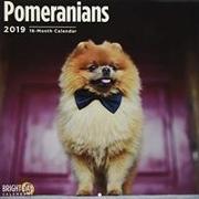 Pomeranians 2019