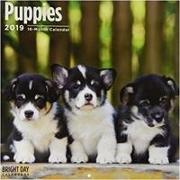 Puppies 2019