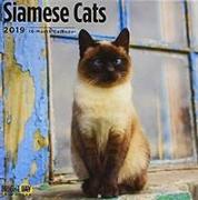 Siamese Cats 2019