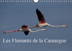 Les Flamants de la Camargue (Calendrier mural 2019 DIN A4 horizontal)