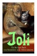 Joli: Ein lustiges Buch von Menschen- und Affen-Kindern: Ein Kinderklassiker