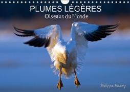 PLUMES LÉGÈRES. Oiseaux du Monde (Calendrier mural 2019 DIN A4 horizontal)