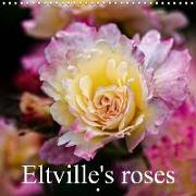 Eltville's roses (Wall Calendar 2019 300 × 300 mm Square)