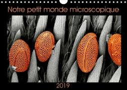 Notre petit monde microscopique (Calendrier mural 2019 DIN A4 horizontal)