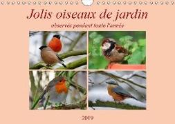 Jolis oiseaux de jardin (Calendrier mural 2019 DIN A4 horizontal)