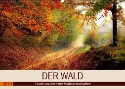 Der Wald. Durch zauberhafte Waldlandschaften (Wandkalender 2019 DIN A2 quer)