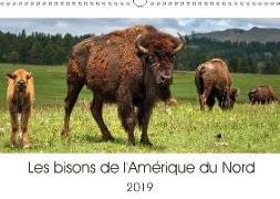 Les bisons de l'Amérique du Nord (Calendrier mural 2019 DIN A3 horizontal)