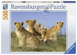 Löwen Babys, Puzzle 500 Teile