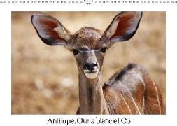 Antilope, Ours blanc et Co (Calendrier mural 2019 DIN A3 horizontal)