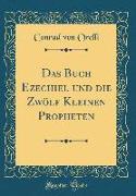Das Buch Ezechiel Und Die Zwölf Kleinen Propheten (Classic Reprint)