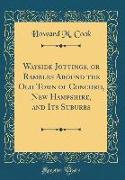 Wayside Jottings, or Rambles Around the Old Town of Concord, New Hampshire, and Its Suburbs (Classic Reprint)
