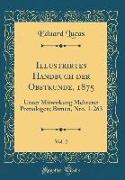 Illustrirtes Handbuch Der Obstkunde, 1875, Vol. 2: Unter Mitwirkung Mehrerer Pomologen, Birnen, Nro. 1-263 (Classic Reprint)
